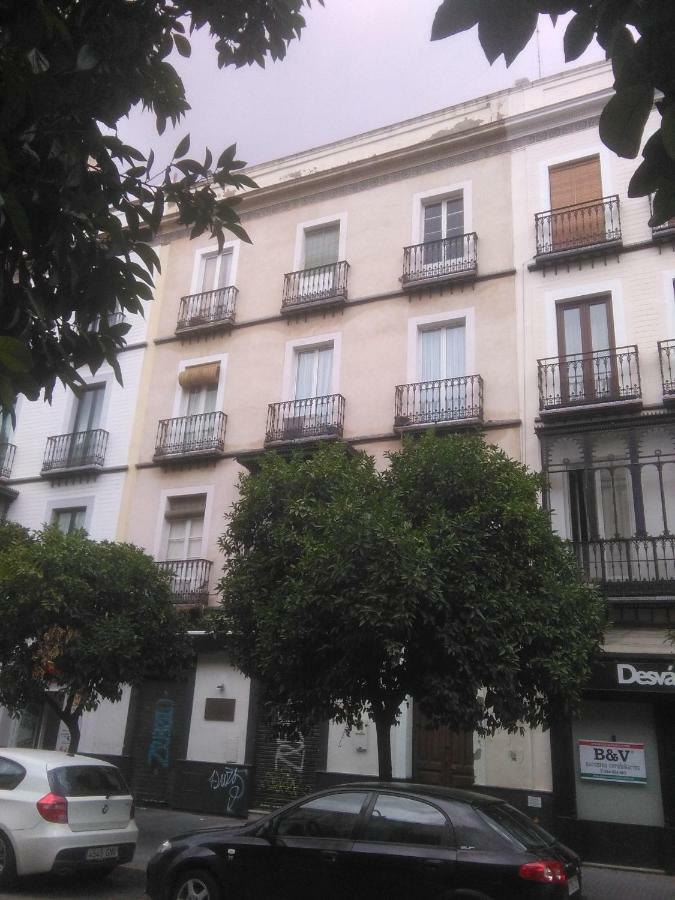 Appartement Apartamento Julio Cesar *